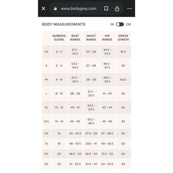 Birdy Grey Maxi Dress Womens Medium Taupe Alex NWT(Only One Tie Strap Included) - Picture 3 of 14